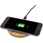 Pamięć USB 2D - Marchewka P108513U US-usb-marchewka-2690
