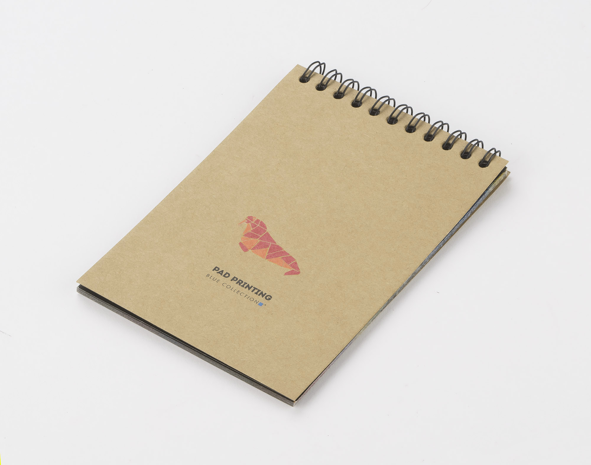 Notes zdrapywanka GRAFI P041541A