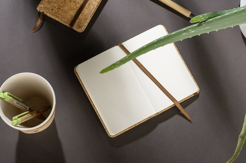 Notes CORA A6 P056522A