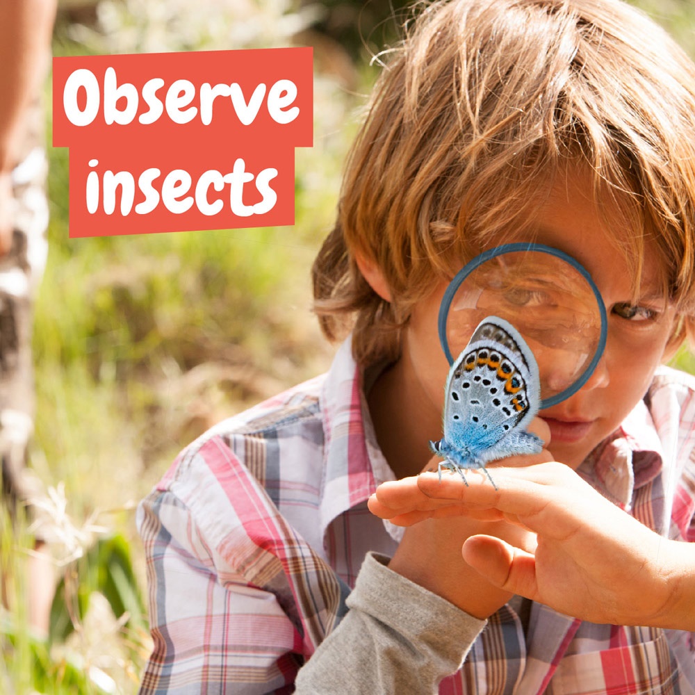 My First Science Kit I. Gra edukacyjna dla dzieci P066898S