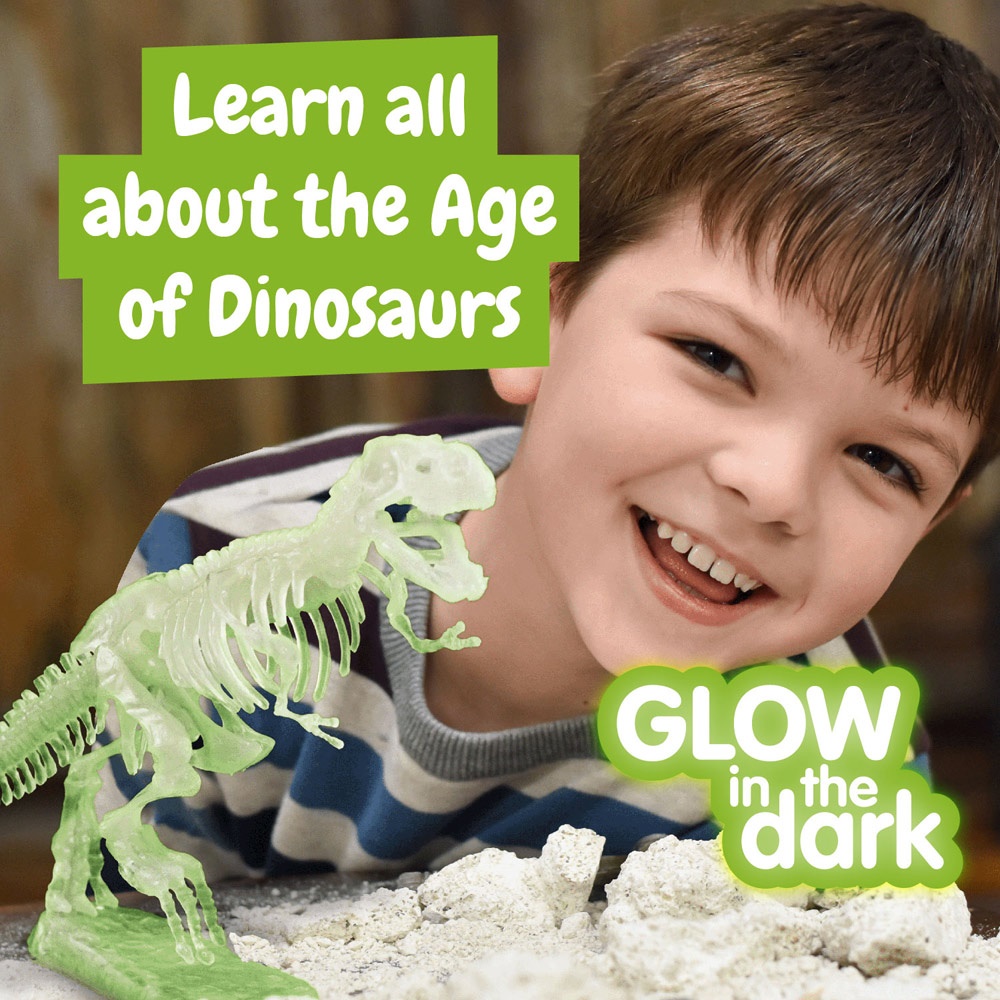 Fossil Excavation Kit I. Gra edukacyjna dla dzieci P066904S