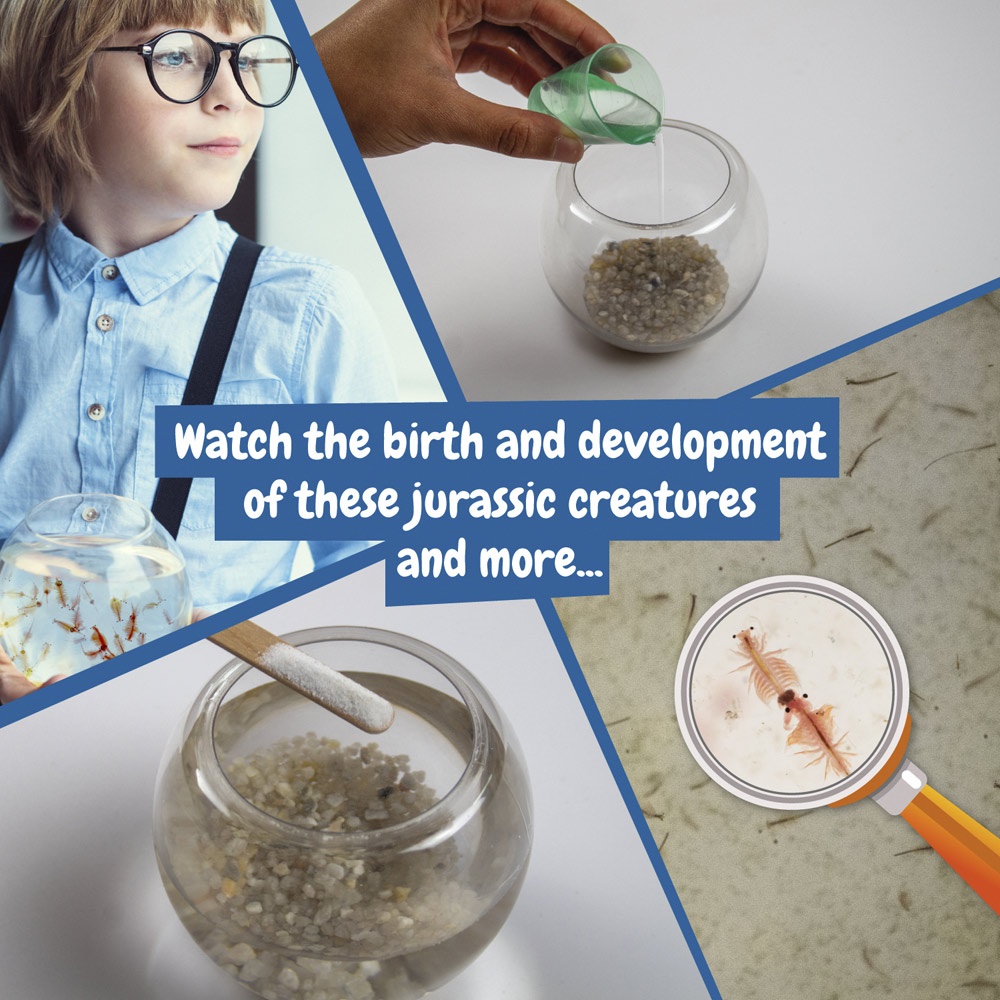 Jurassic Pets Kit I. Gra edukacyjna dla dzieci P066950S