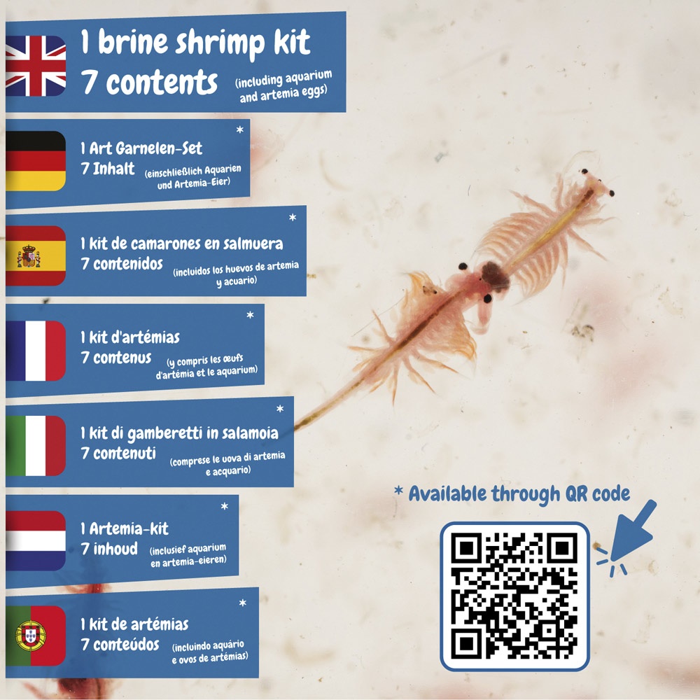 Jurassic Pets Kit I. Gra edukacyjna dla dzieci P066950S