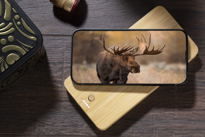 Power bank BORRA 10000 mAh P056355A