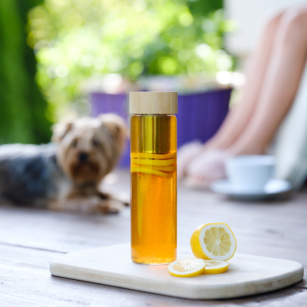 Szklana butelka z zaparzaczem herbaty Gourmet 600 ml P001424R 8 Szklana butelka z zaparzaczem herbaty Gourmet 600 ml P001424R