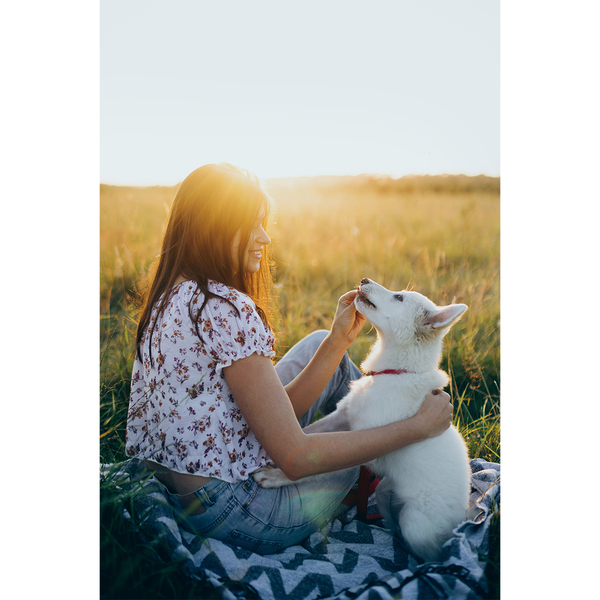 Frisbee dla psa Hop P046992R