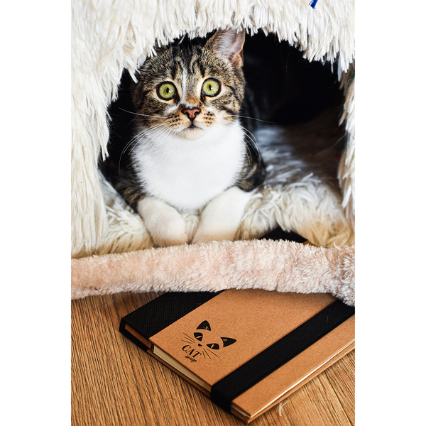 Notes memo 100x180/70k linia Kraft Paper P000680R