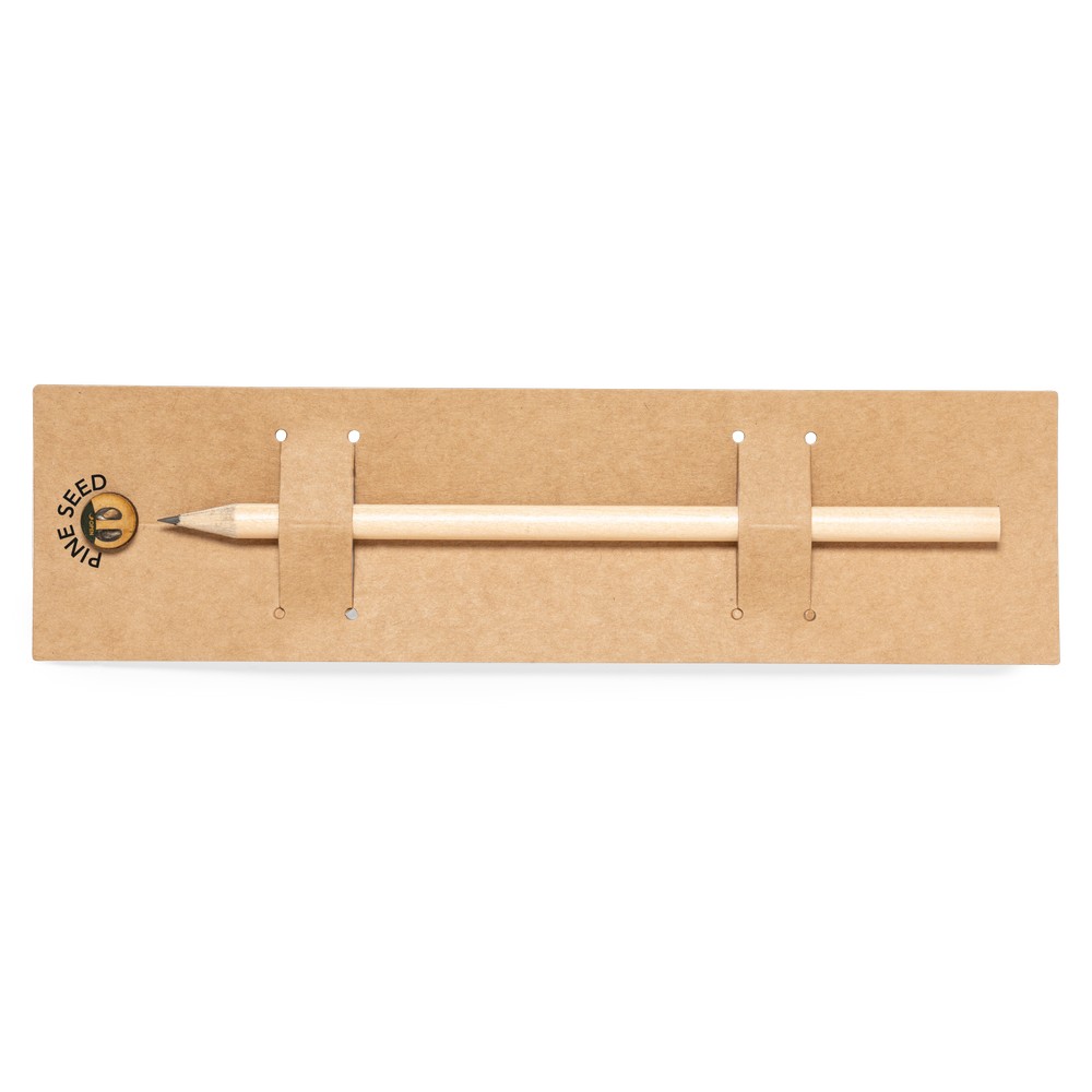 Ołówek, nasiona sosny P055007X