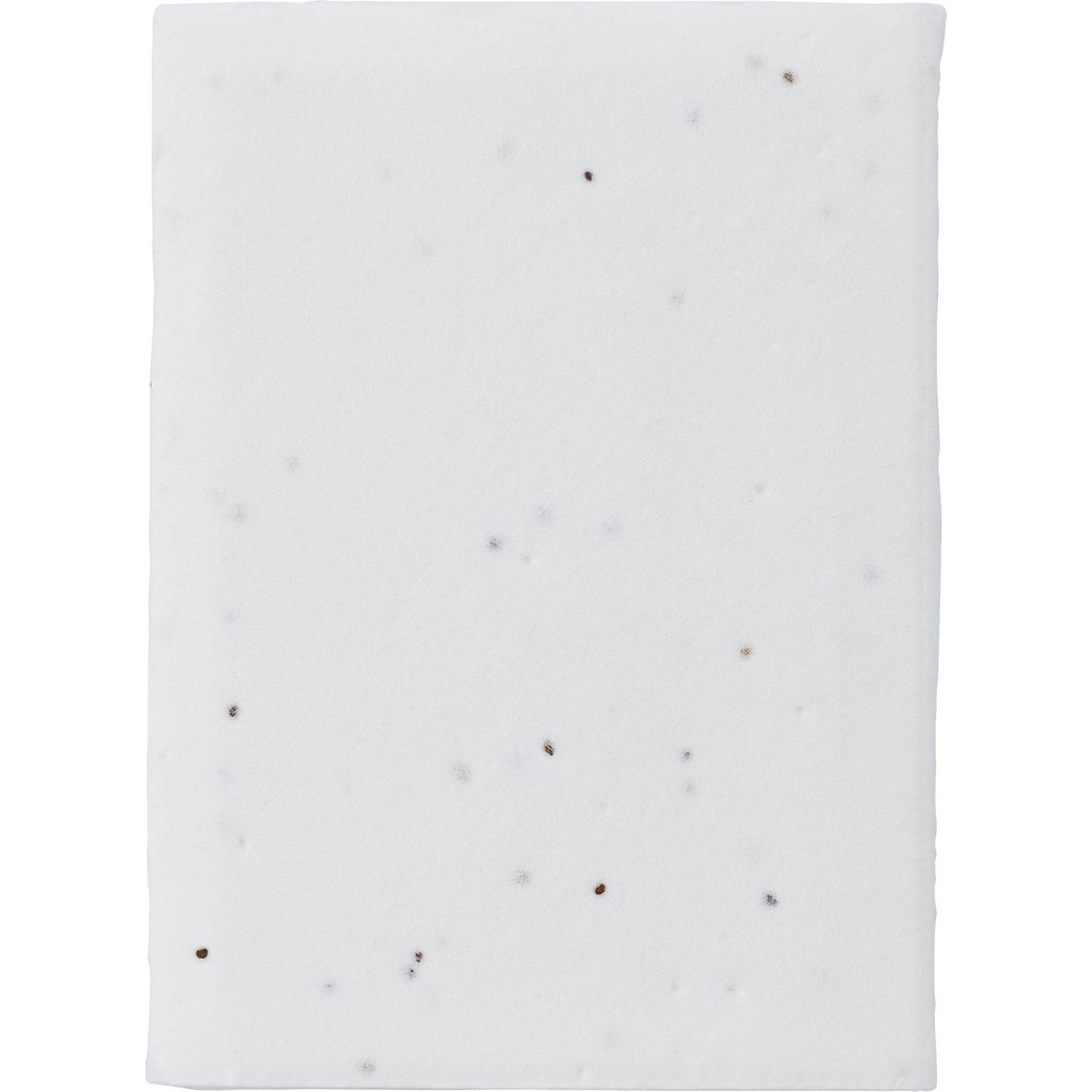 Zestaw do notatek, karteczki samoprzylepne, papier z nasionami P047866X