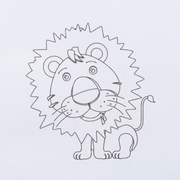 Kolorowanka z kredkami drewnianymi 12 kolorów P085321K