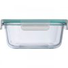 Pojemnik na żywność ODENSE 700 ml P089320G