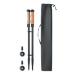 Kijki do nordic walking P067488O