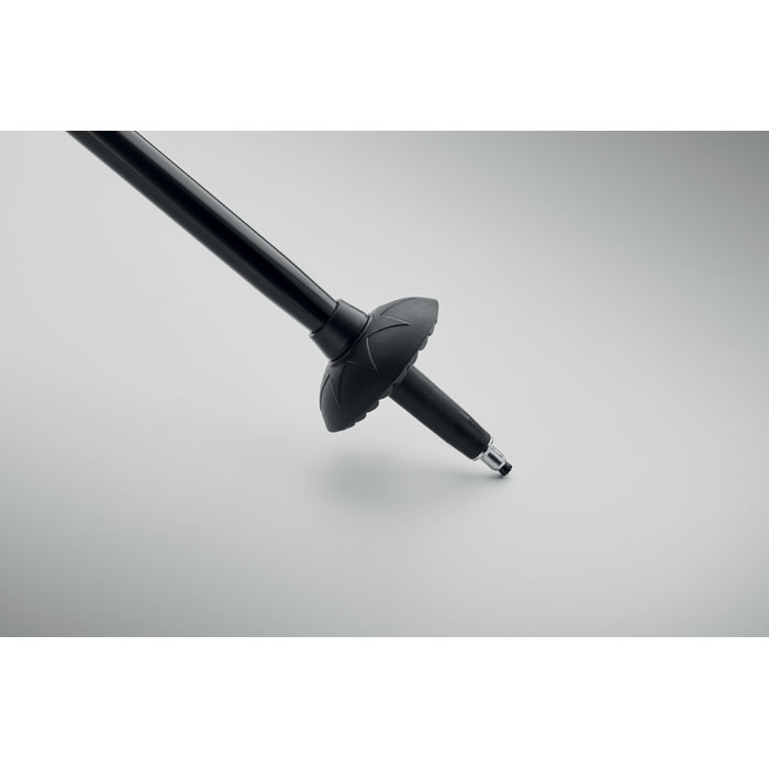 Kijki do nordic walking P067488O