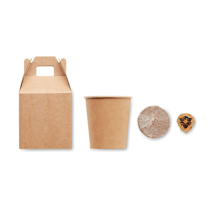 Nasiona sosny, torf, doniczka P017607O