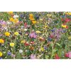 Mieszanka nasion kwiatów P039841O