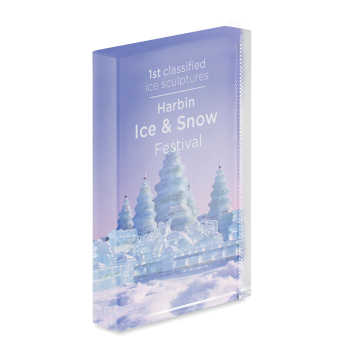 Kryształowa statuetka, nagroda P043308O