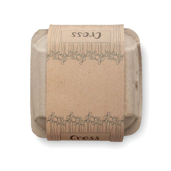 Zestaw do uprawy w kartonie P045871O