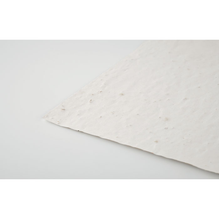 Arkusz A4 z nasionami kwiatów P049056O