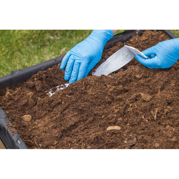 Taśma z nasionami ziół P049064O