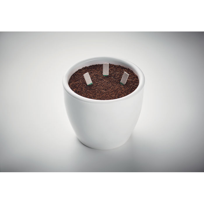 Patyczki z nasionami ziół P049065O