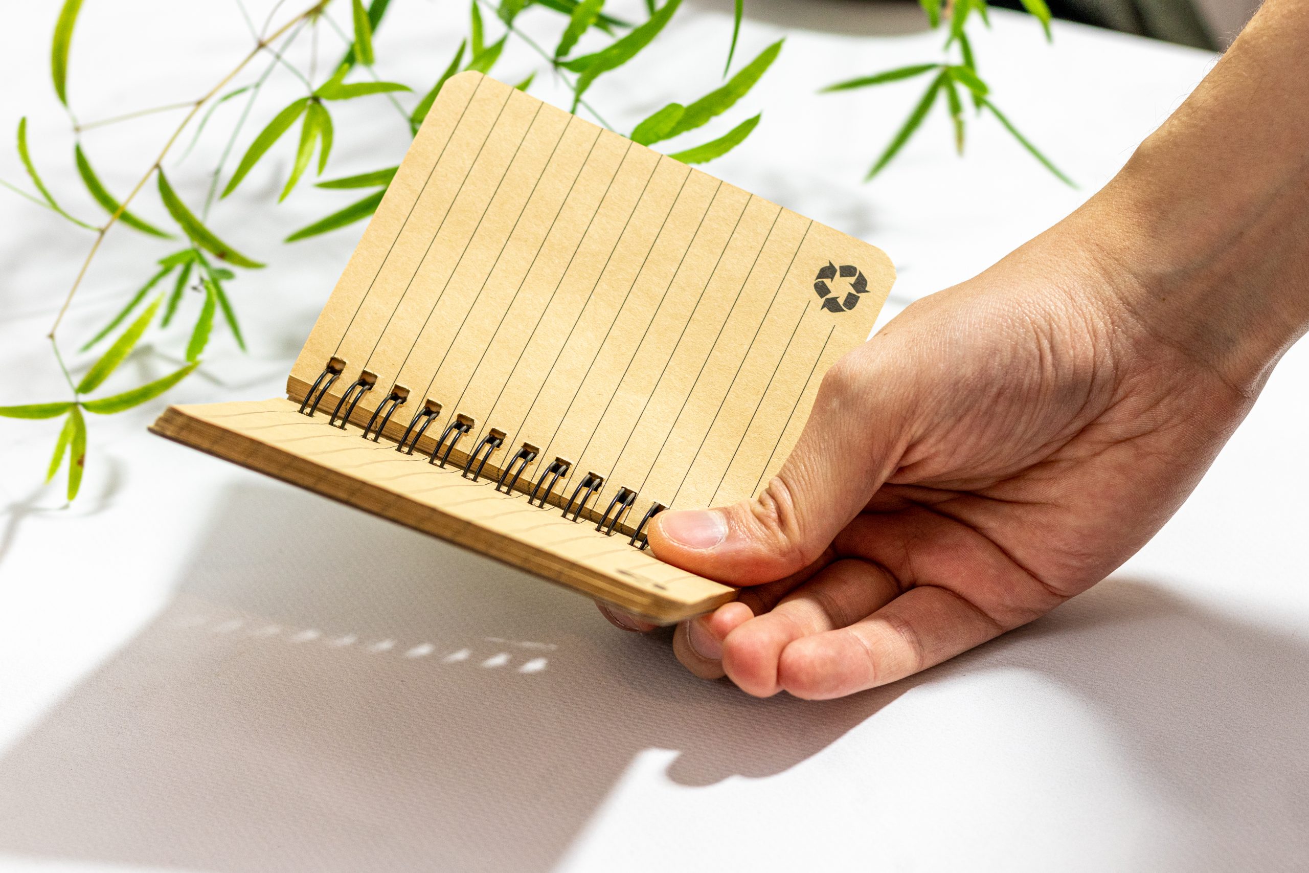 Notes A6 w linie PHOENIX P089307G