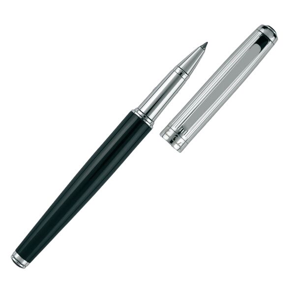 Pióro kulkowe DIDIER Pierre Cardin P088980G EG-B0300500IP303