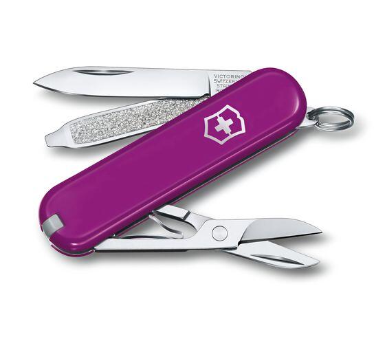 Scyzoryk Classic SD Victorinox P088416G fioletowy