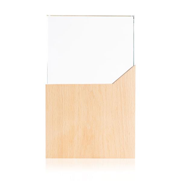 Trofeum z metalu i szkła / Reward P092713P