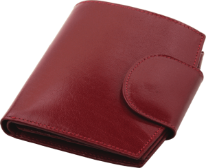 Portfel P049895J JA-J31901-W