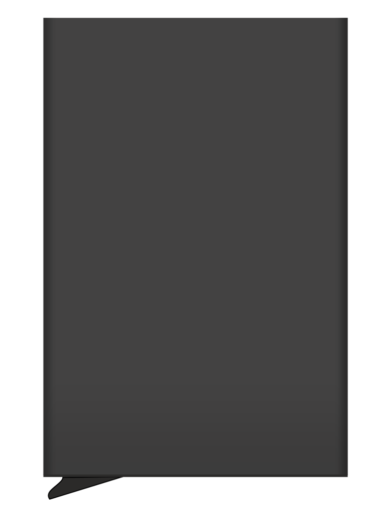 Etui na karty kredytowe RFID P049829J czarny