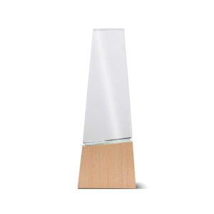 Trofeum z drewna i szkła z pudełkiem prezentowym / Best P108824P PM-IP37053338