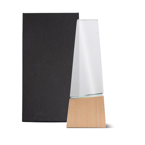 Trofeum z drewna i szkła z pudełkiem prezentowym / Best P108824P