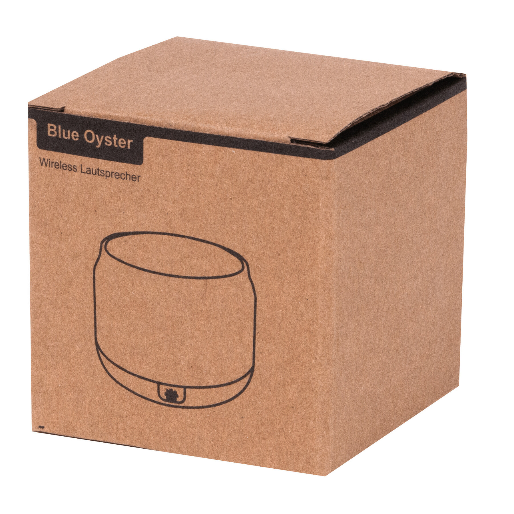 Głośnik bezprzewodowy BLUE OYSTER P046816I 9 Głośnik bezprzewodowy BLUE OYSTER P046816I