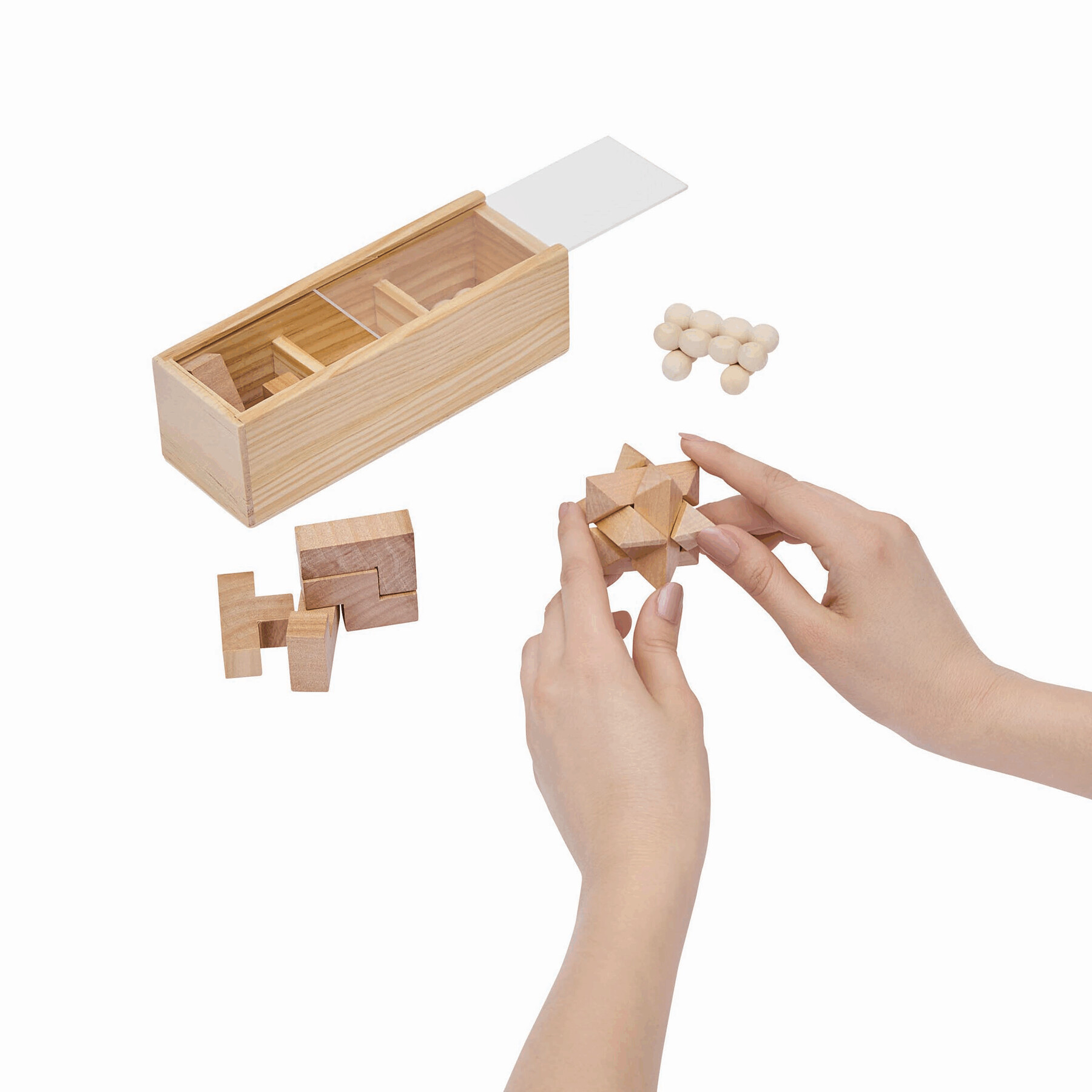 Zestaw puzzli BRAIN POWER P005458I