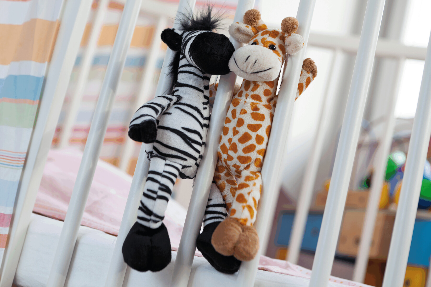 Pluszowa zebra LORENZO P003630I