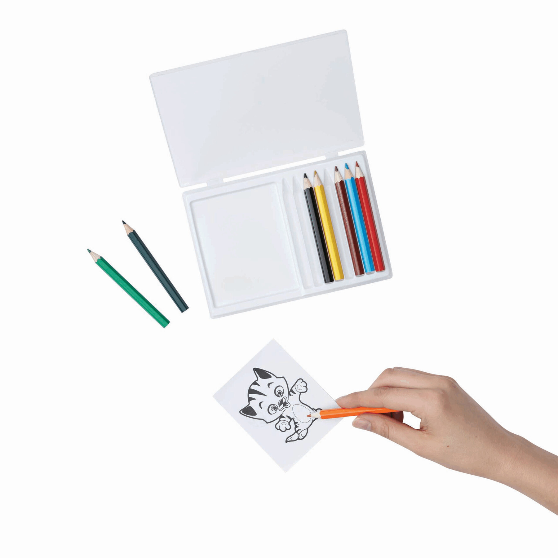 Zestaw do kolorowania CRAZY ANIMALS P003602I