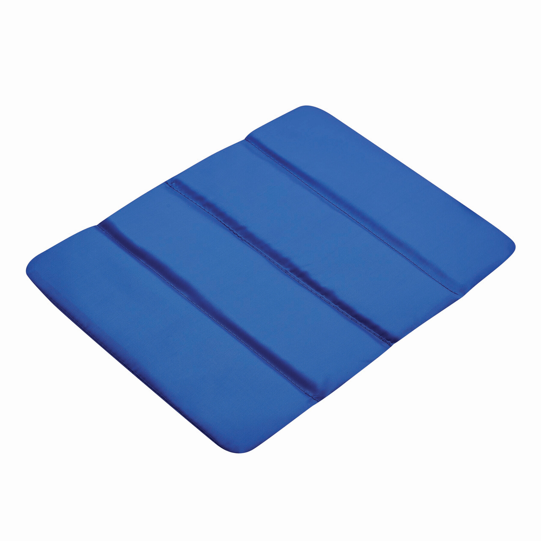 Wygodna poduszka PERFECT PLACE P004251I niebieski