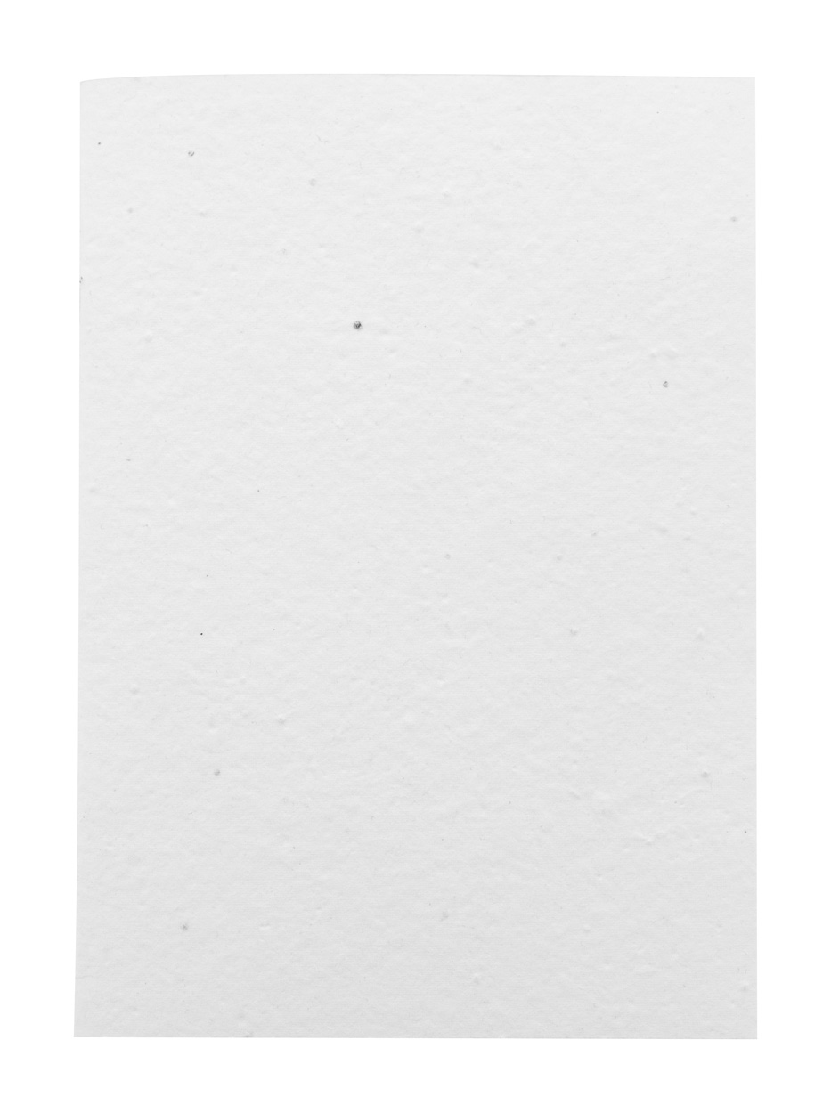 Niestandardowy notatnik z papieru nasiennego P118906D