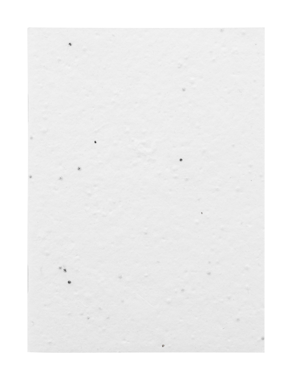 Niestandardowy notatnik z papieru nasiennego P118909D