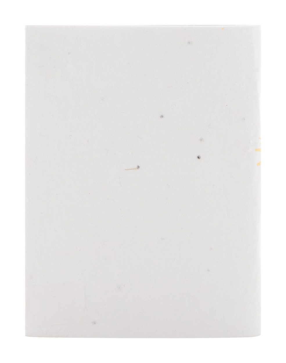 Niestandardowy notatnik z papieru nasiennego P118911D