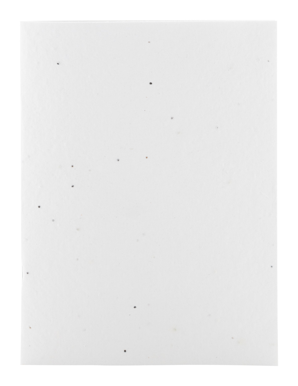 Niestandardowy notatnik z papieru nasiennego P118912D