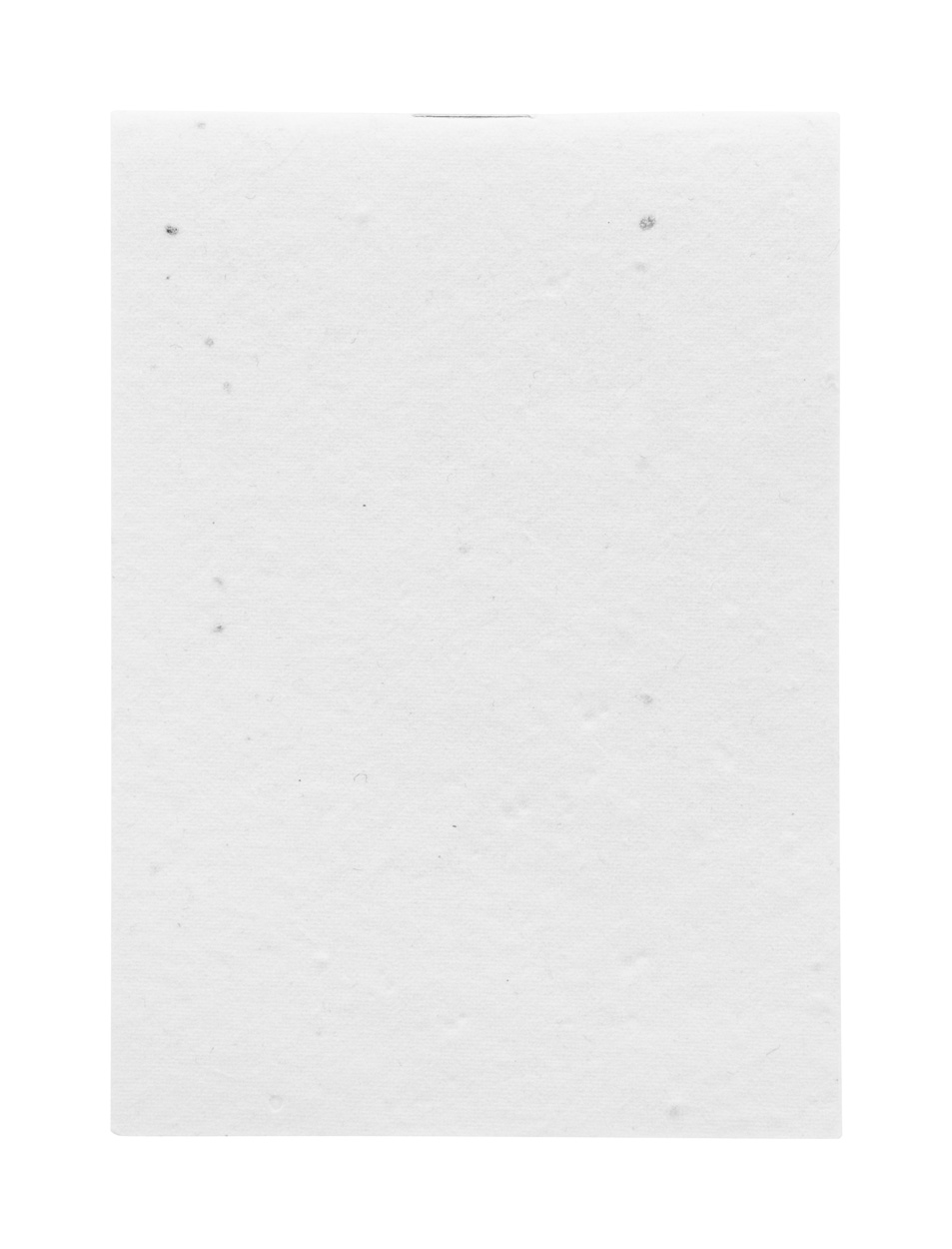 Niestandardowy notatnik z papieru nasiennego P118915D