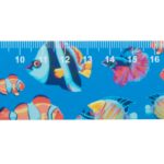 Linijka 30cm, serce P113743D