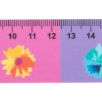 Linjka 24cm/ołówek P114266D