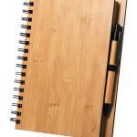 Notes P113510D
