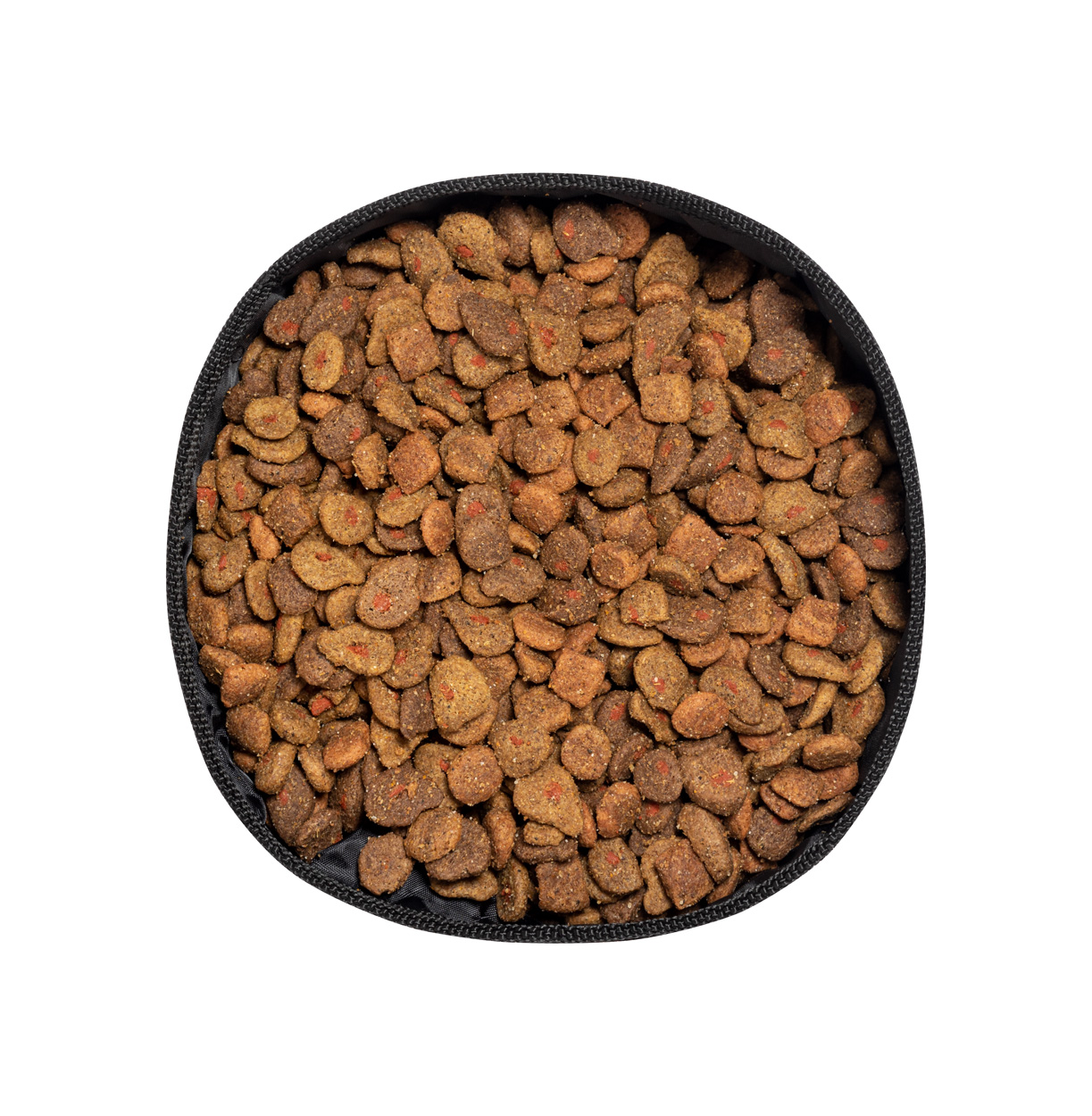 Miska dla psa P120411D