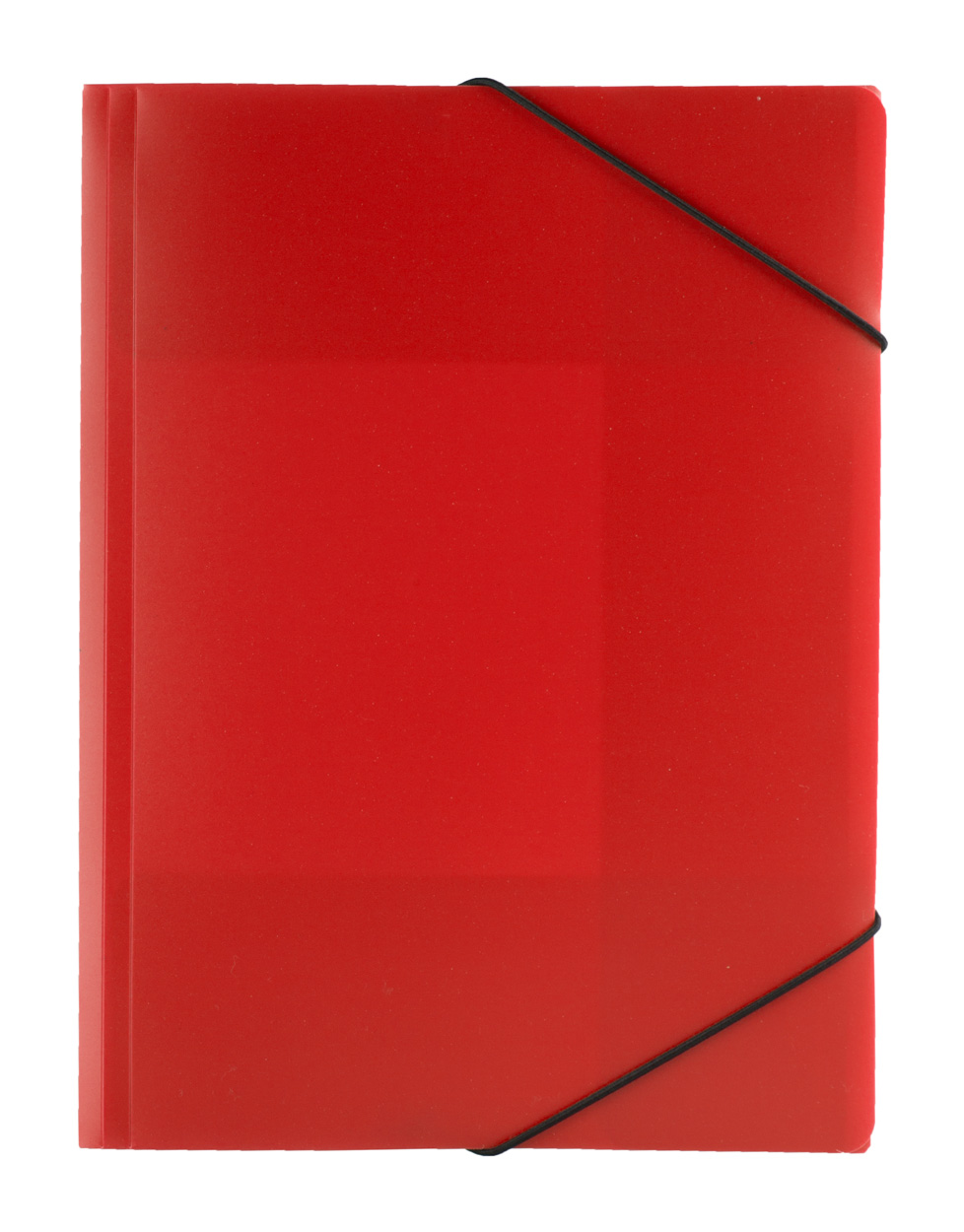 Teczka na dokumenty z pvc P110518D AN-AP731721-W