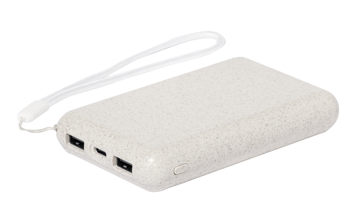 Power bank P117147D