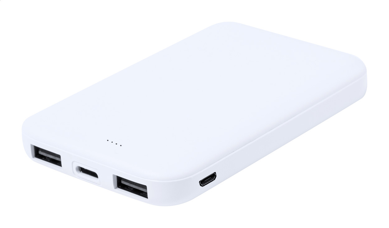 Power bank RABS P120541D AN-AP733949-01