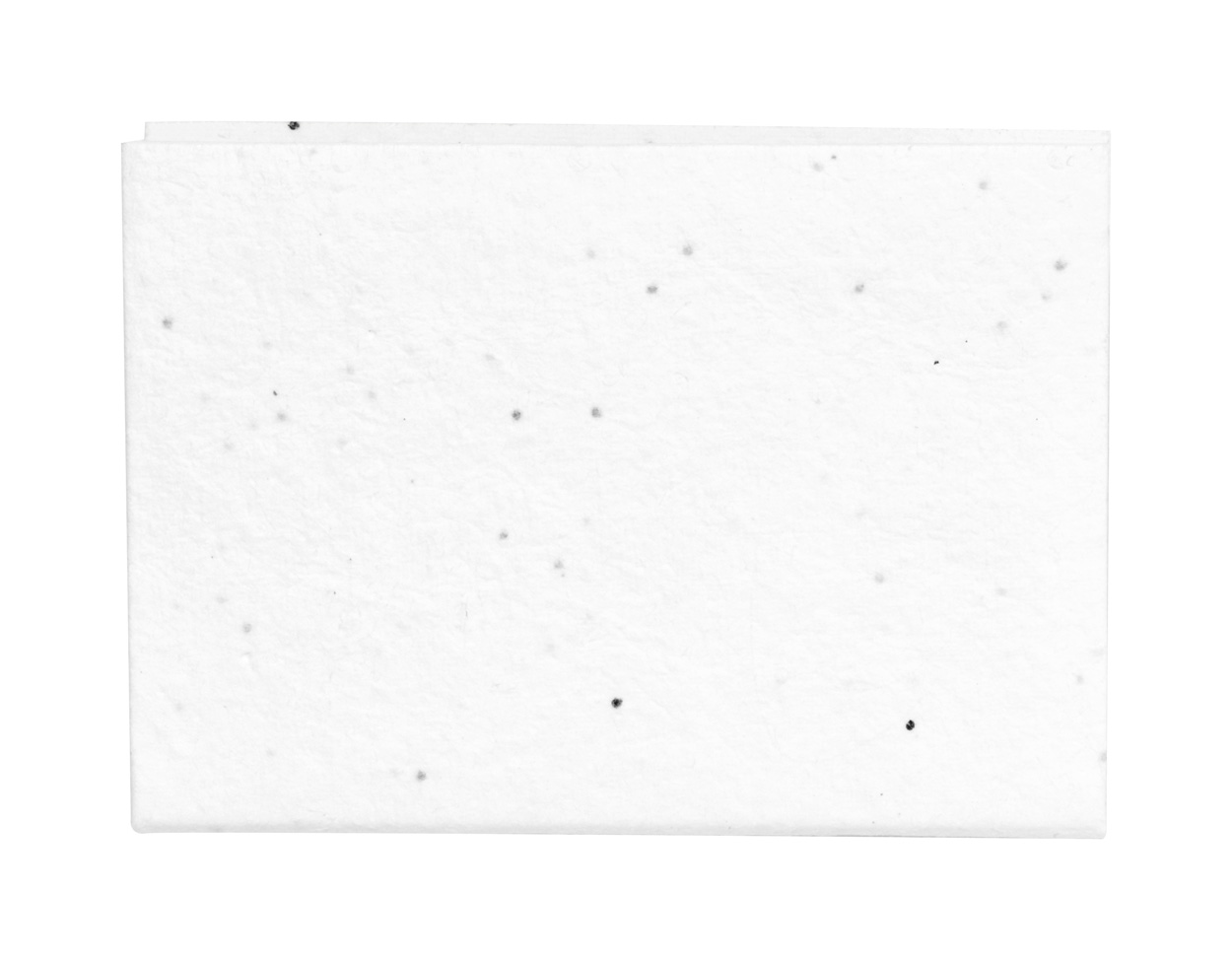 Notatnik z karteczkami samoprzylepnymi z papieru nasiennego P117606D